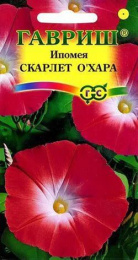 Ипомея Скарлет О`Хара 0,5г цветной пакет Гавриш