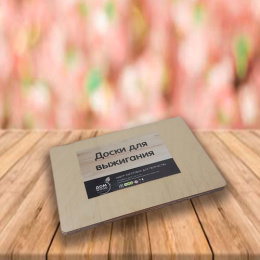 Доски для выжигания экошпон набор 5шт. 29,7х21х1,5см ДомВуд Ф253