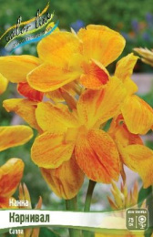 Канна Карнивал зеленый лист 1шт. Colorline