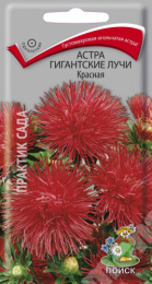 Астра Гигантские Лучи красная 0,3г цветной пакет Поиск