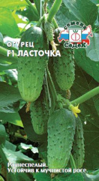 Огурец Ласточка F1  0,3г цветной пакет Седек