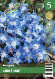 Хионодокса Блю Гиант  5шт. Эконом Colorline