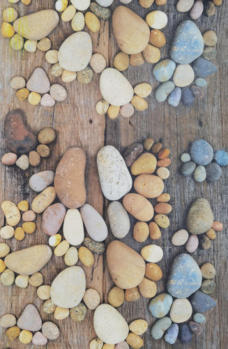 Дорожка-линолеум рулонная 1,0х15м Baizheng BZ1-AF144-6