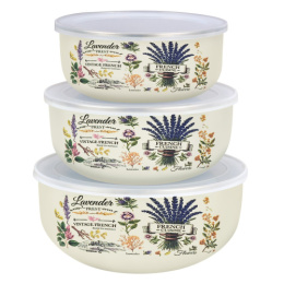 Емкости эмалированные набор 3шт. 0,7л, 1,1л, 1,4л пластик. крышки, с декором Эдем Appetite BW01-ED