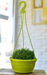 Кашпо подвесное пластиковое Венеция с поддоном d-25,5см 4,0л фисташковый 5plast 5PL0353