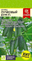 Огурец Пучковый бум F1 5шт. цветной пакет Семена Алтая