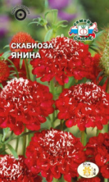 Скабиоза Янина темно-пурпуровая, пурпурная 0,1г цветной пакет Седек