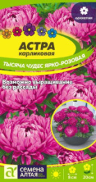 Астра Тысяча чудес ярко-розовая карликовая 0,15г цветной пакет Семена Алтая