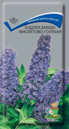 Буддлея Давида Фиолетово-голубая 0,01г цветной пакет Поиск