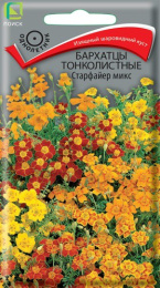 Бархатцы тонколистные (Тагетес) Старфайер микс 0,1г цветной пакет Поиск