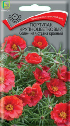 Портулак Солнечная страна красный крупноцветковый 0,1г цветной пакет Поиск