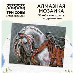 Алмазная мозаика на подрамнике 30х40см Богатырский конь Три совы АМП3040_47599