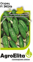 Огурец Эколь F1 5шт. цветной пакет Агроэлита