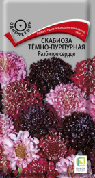 Скабиоза Разбитое сердце темно-пурпурная 10шт. цветной пакет Поиск