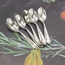 Набор ложек чайных из нержавеющей стали  6шт. Премьер Радужный Дом РД86056