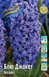 Гиацинт Блю Джакет 14/15 3шт. Colorline