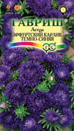 Астра Эрфуртский карлик темно-синяя 0,3г цветной пакет Гавриш