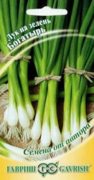 Лук на зелень Богатырь 0,5г цветной пакет Гавриш