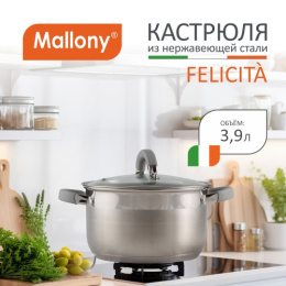 Кастрюля из нержавеющей стали  3,9л 200мм стеклянная крышка Felicita Mallony 009388