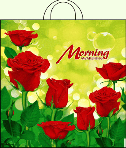 Пакет подарочный ПВД петлевой 38х42см 40мкм Утро ПР3842УТ