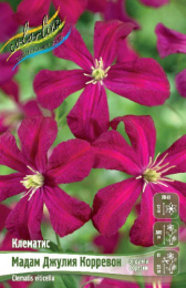 Клематис Мадам Джулия Корревон 2шт. Colorline
