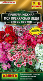 Примула Моя прекрасная леди, смесь сортов 7шт. цветной пакет Аэлита