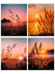 Тетрадь  96 листов линейка Природа и солнце 96-0125