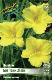 Лилейник Биг Тайм Хэппи 1шт. Colorline