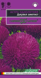 Астра Джувел Аметист игольчато-коготковая 0,05г цветной пакет серия Эксклюзив Гавриш