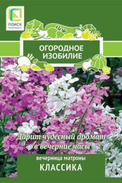 Вечерница (Хесперис) Матроны Классика 0,3г цветной пакет серия Огородное изобилие Поиск