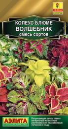 Колеус блюме Волшебник, смесь сортов  5шт. цветной пакет Аэлита